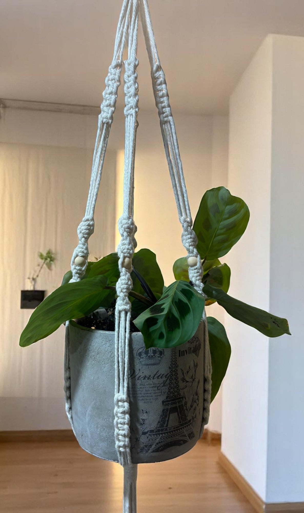 Macrame Plant Holder with Wooden Beads