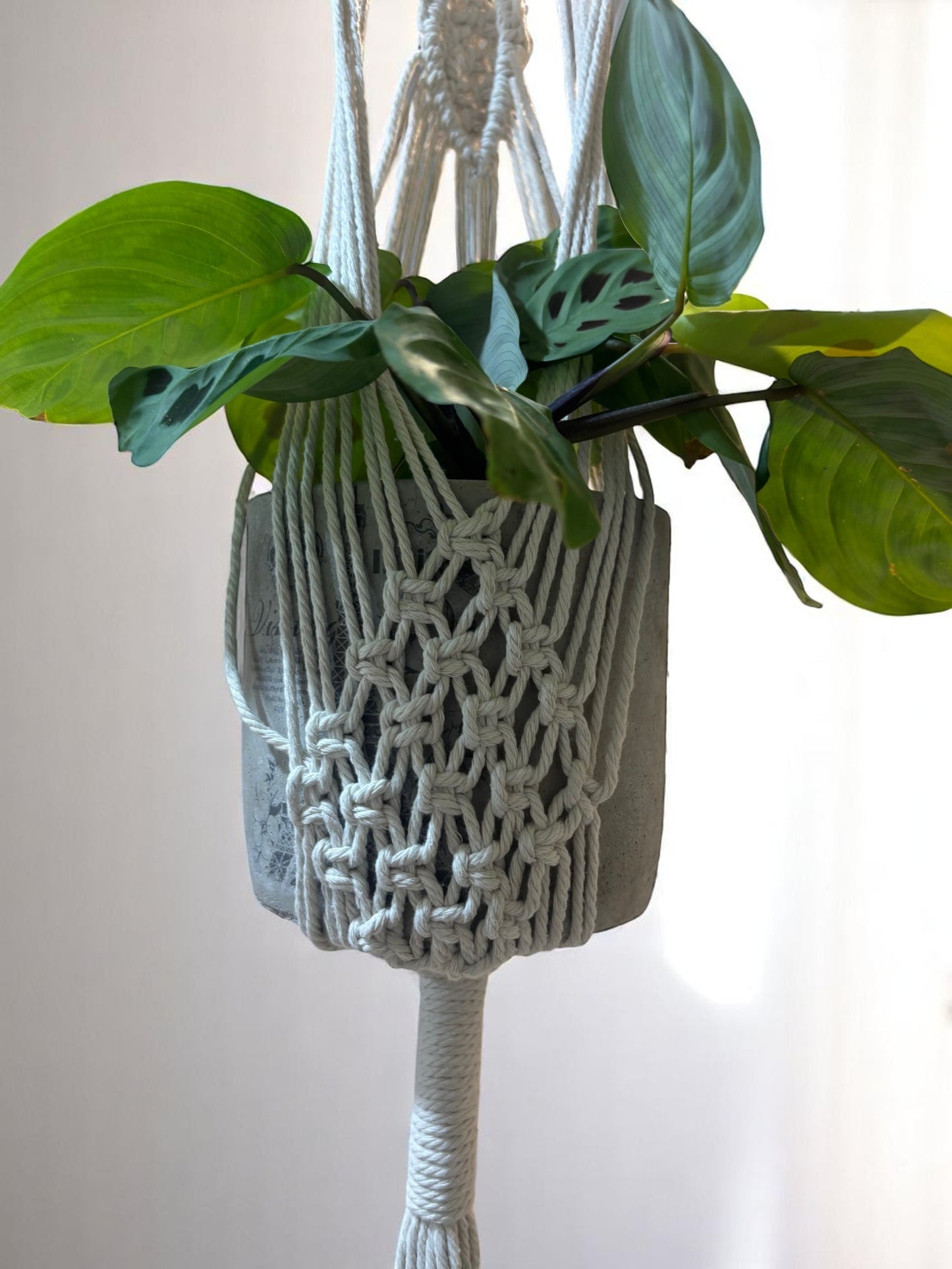 Macrame Plant Hanger – Rhombus Design