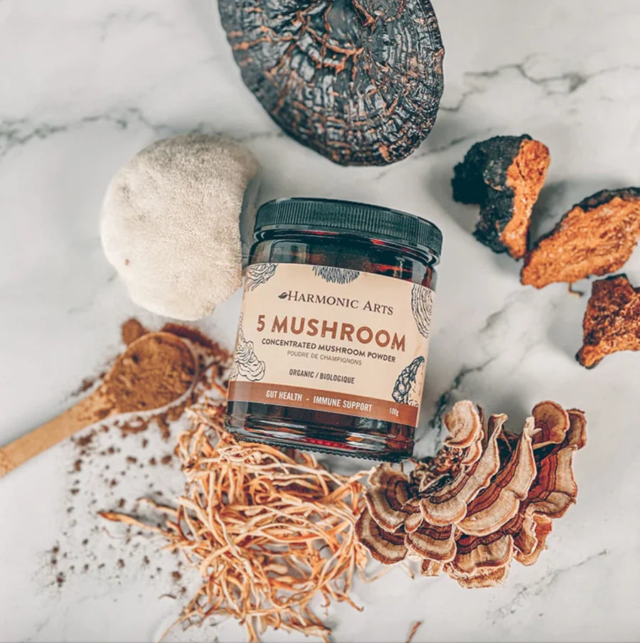 5 Mushroom Concentrated Powder