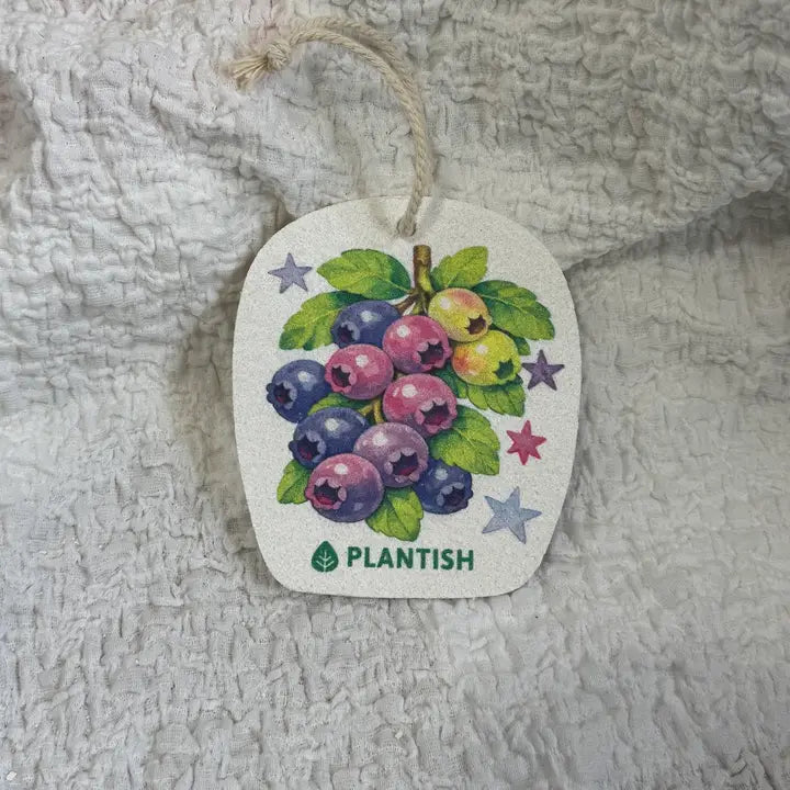 Blueberry Pop Up Sponge