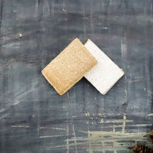 Eco Sponge