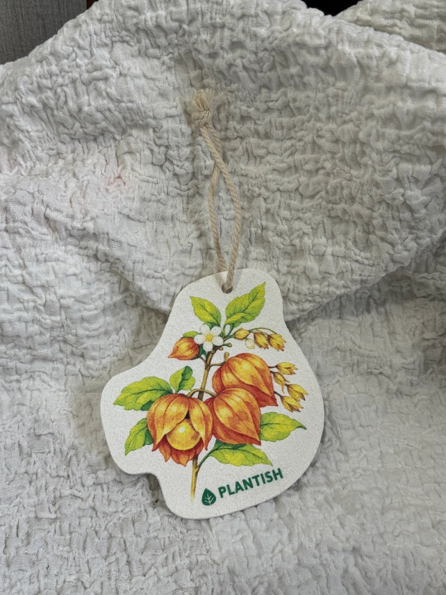 Lantern Flower Pop Up Sponge