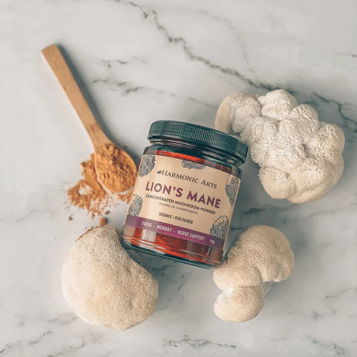 Lion's Mane Concentrated Mushroom Powder
